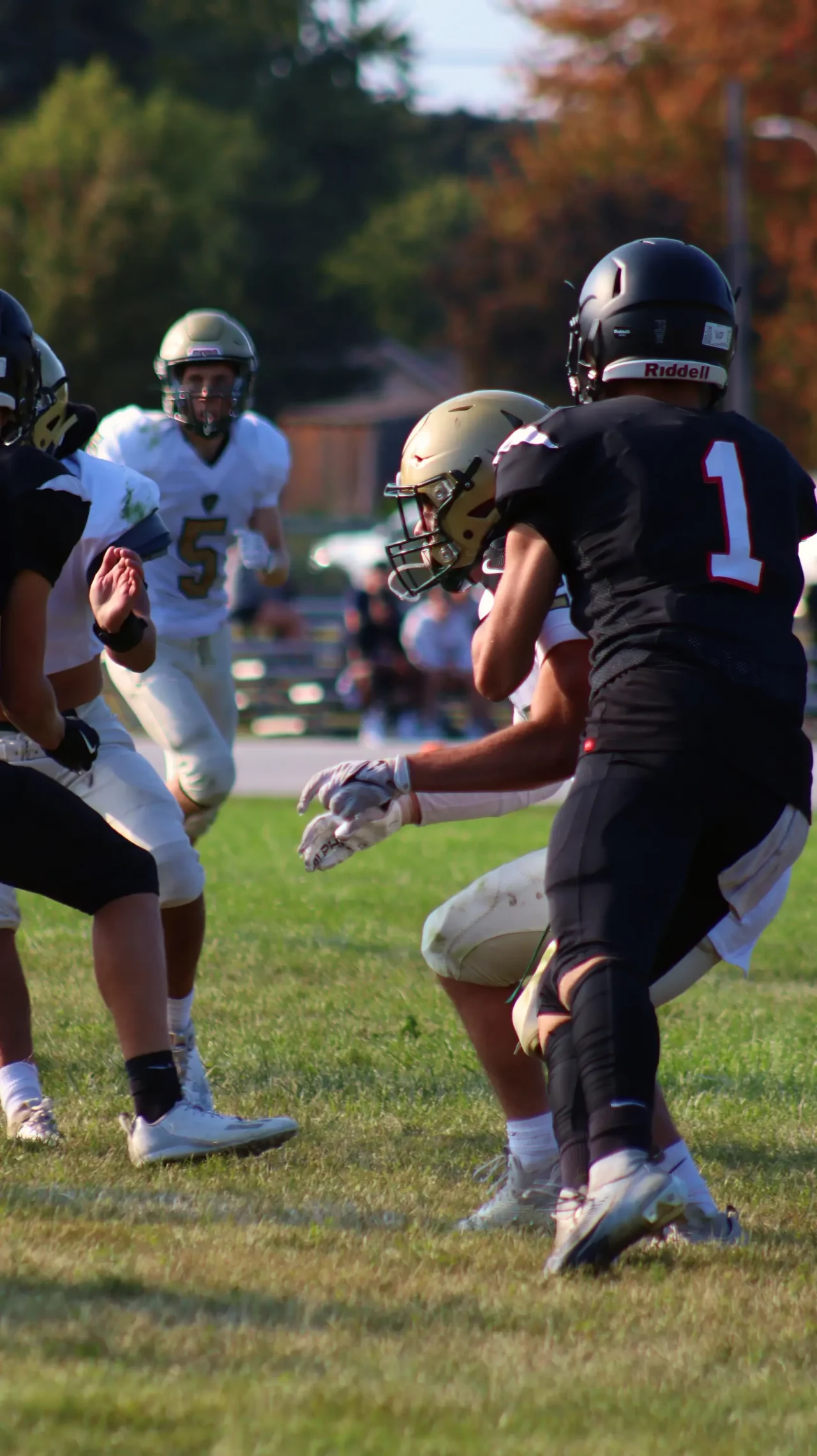 IMG_9772-topaz-denoise-sharpen-face-color